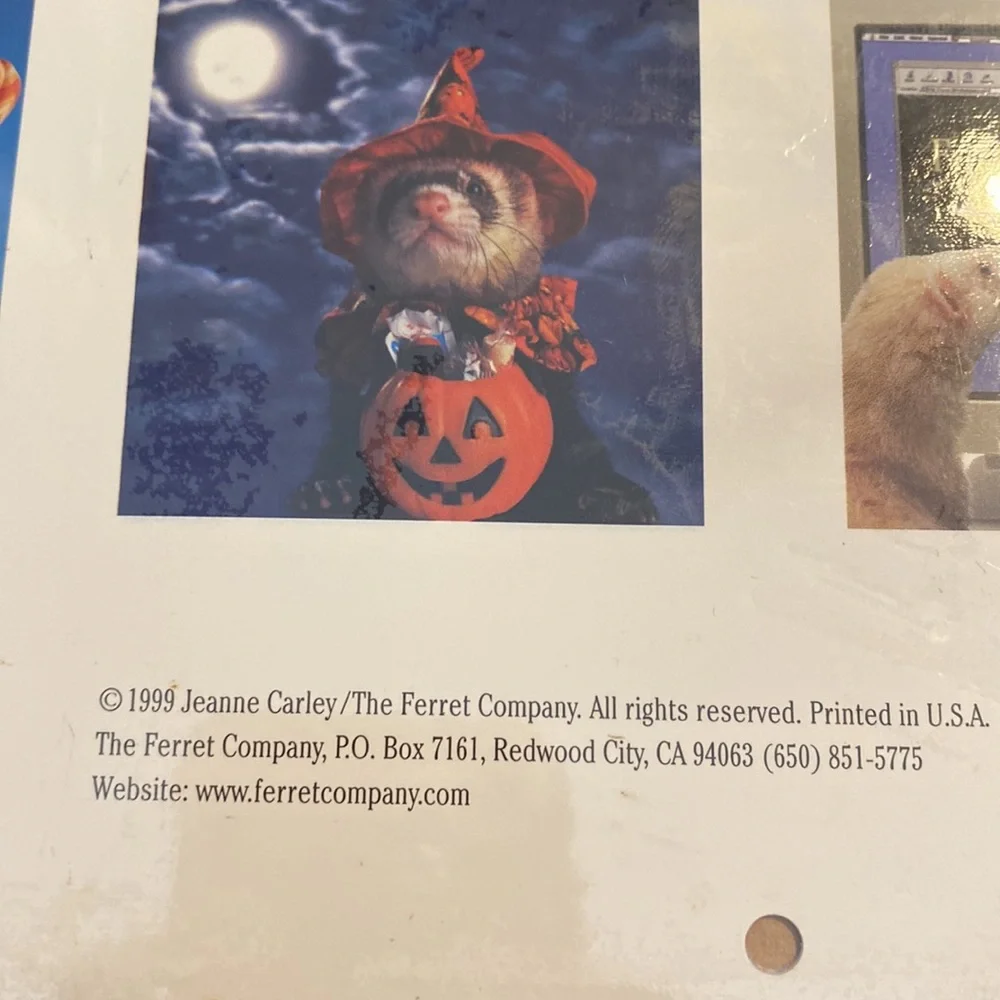 The Ferret Calendar 2000